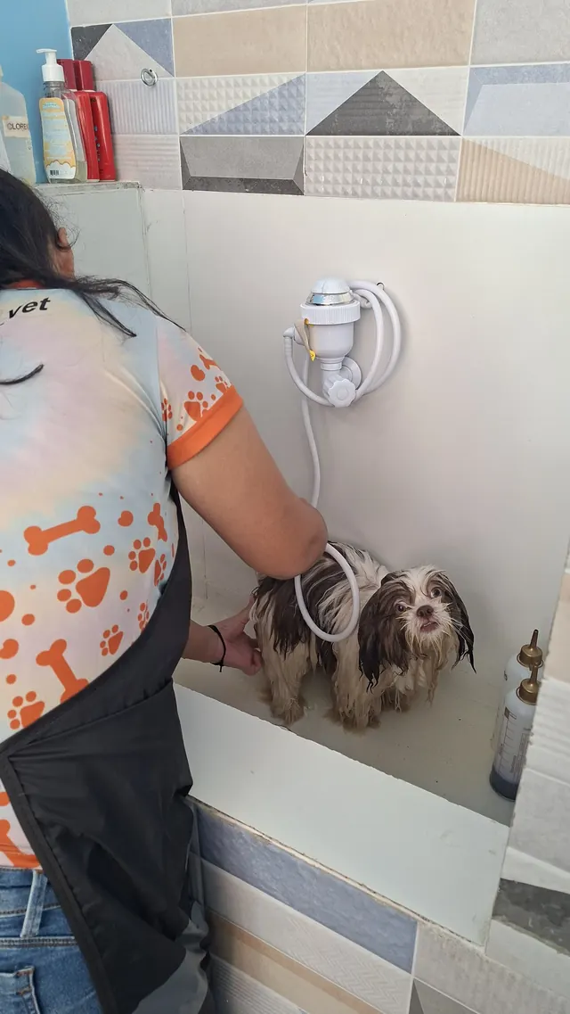 Banho em cachorro no banho e tosa da Hope Pet Shop, em Santana do Paraíso
